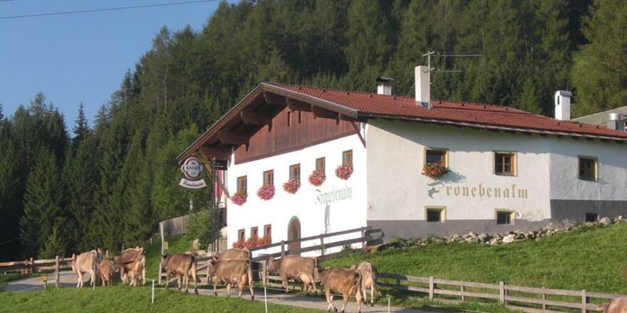 Fronebenalm Sommer
