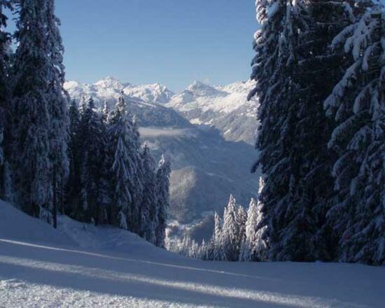 Blick vom Hochjoch ins Tal