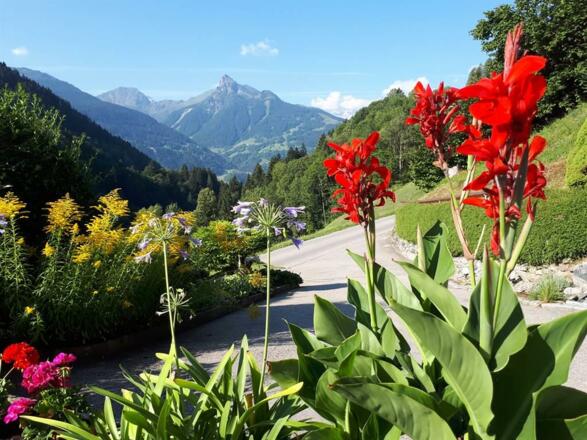 Tschaggunser Mittagsspitze