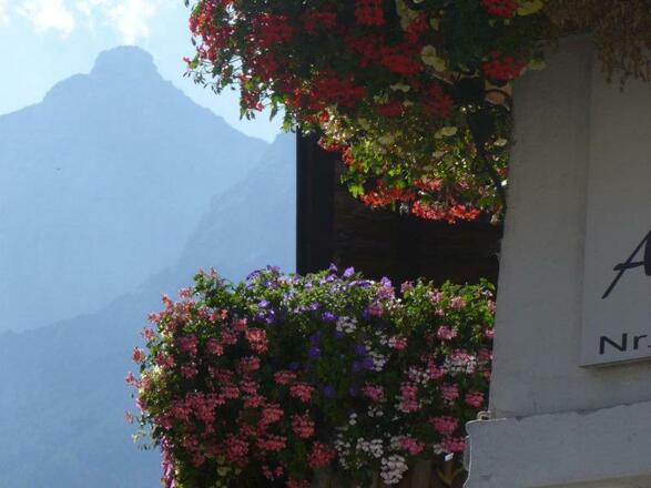 csm_777-2014616164639183_BlumenxSerles_39833ed9e1