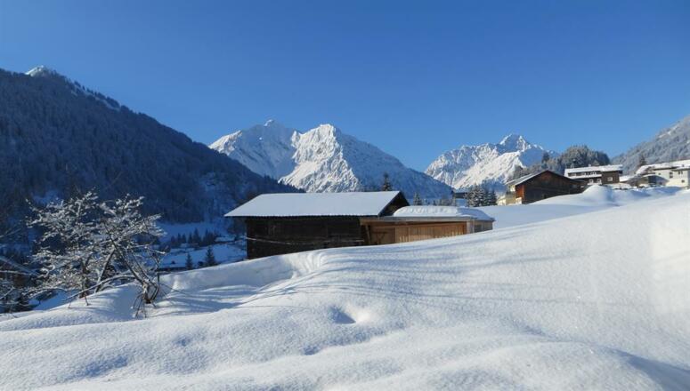 fewo-panoramablich winter