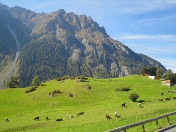 Aussicht Berghof