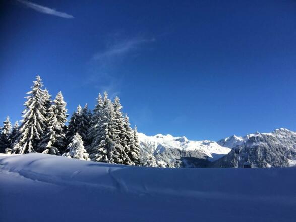 schönes Winterpanorama