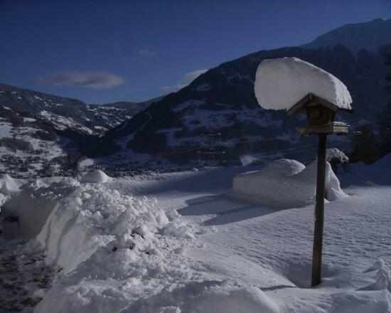 Haus Helga Stocker Garten