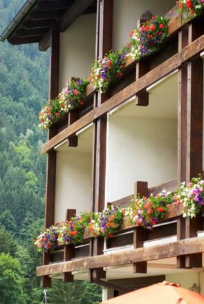 Silvretta im Sommer