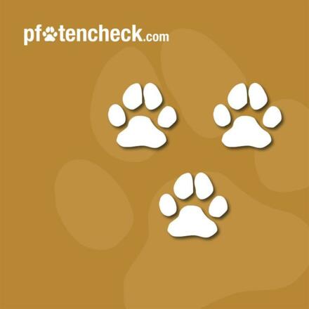 Pfotencheck_Stern_03_neutral