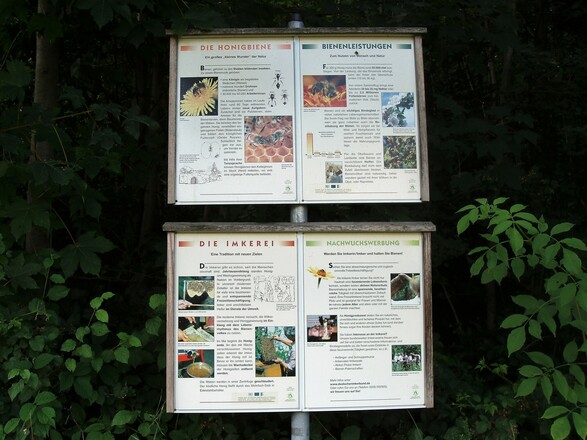 Infotafeln Bienen