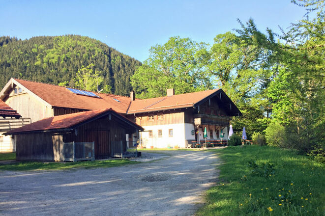 Schlipfgrubalm - © Chiemsee-Alpenland Tourismus