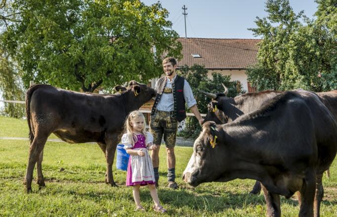 Urlaub zwischen Kuh, Hühnern und Katz