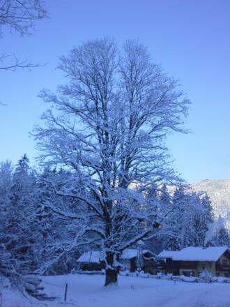 Winter5