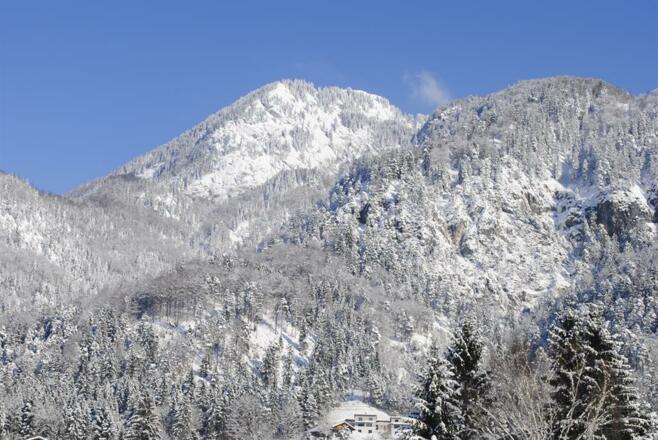Winter2