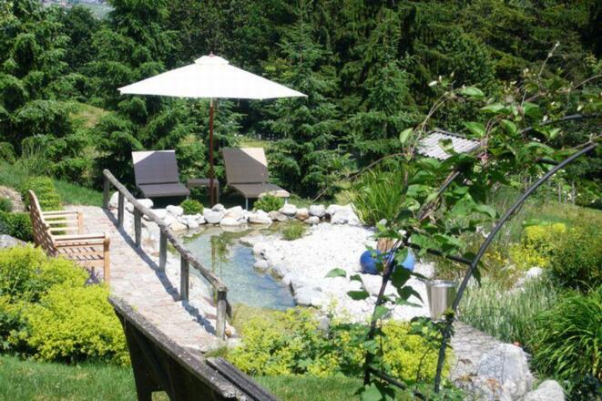 Garten Teich