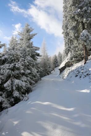 Rodelausflug zur Milderaunalm