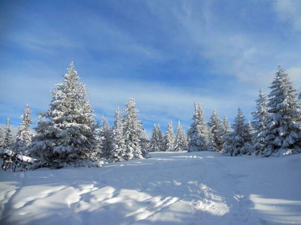 Wunderschöne Winterlandschaft