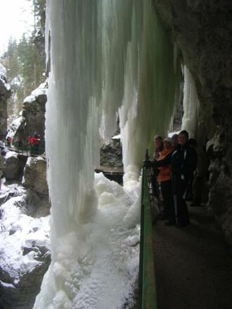 gemischt jänner 2009 292