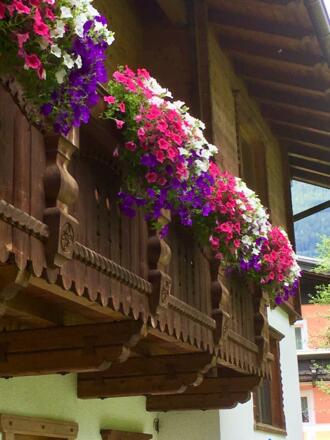 BALKON OSTSEITE JULI 19