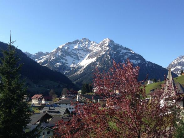 Fruehling @Sarina Berchtold (5)