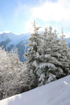 Auf dem Weg zur Milderaunalm