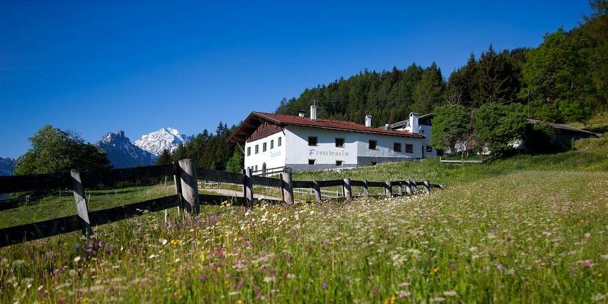 Fronebenalm Sommer
