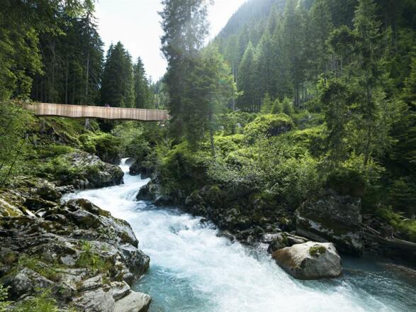 55ec2801-9ef0-4838-8b0a-4dedc3037ca9