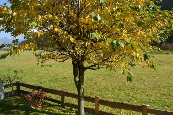 Ausblick vom Zimmerfenster