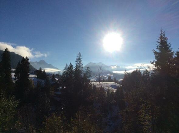 Ausblick