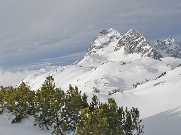 Tiefschneeabfahrt im Widdersteingebiet