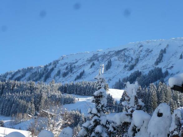 Ausblick Fellhorn 1024