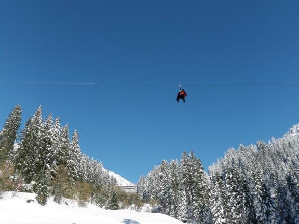 Flying Fox Park Safari Bahn 6