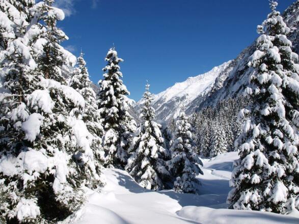 Stubai Gletscher Grawa-Alm 3.April 2015 327