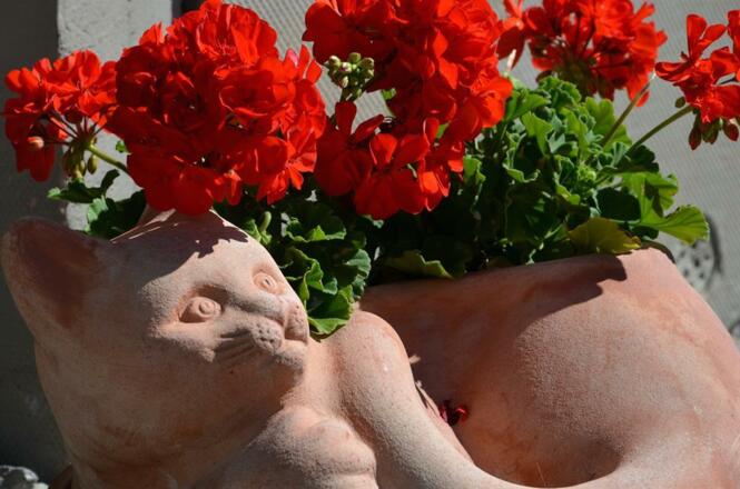 Ferienwohnungen Maurer Impression