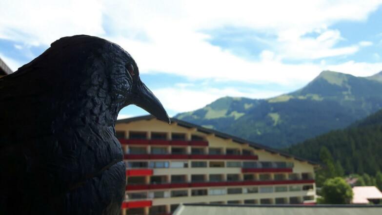 Ferienwohnung im Aparthotel Kleinwalsertal