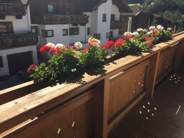 Appartement Schöpf Romed