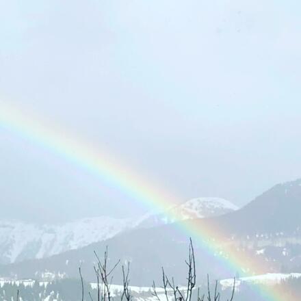 404E6677-7AF1-4247-92BF-1A2A00BBD7D6