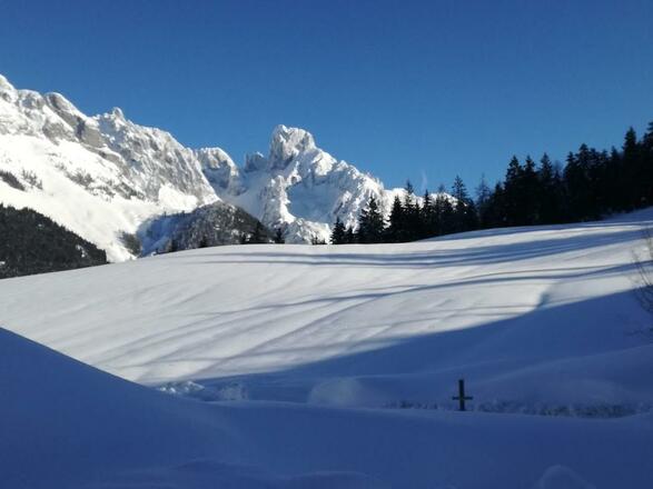Bischofsmütze im Winter