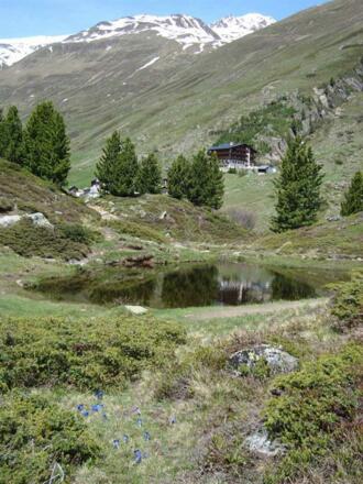 Sommer mit See