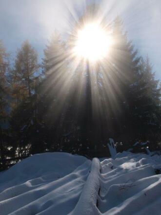 Winter 2014