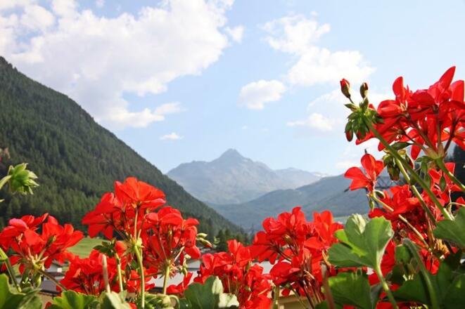 Ausblick Balkonzimmer