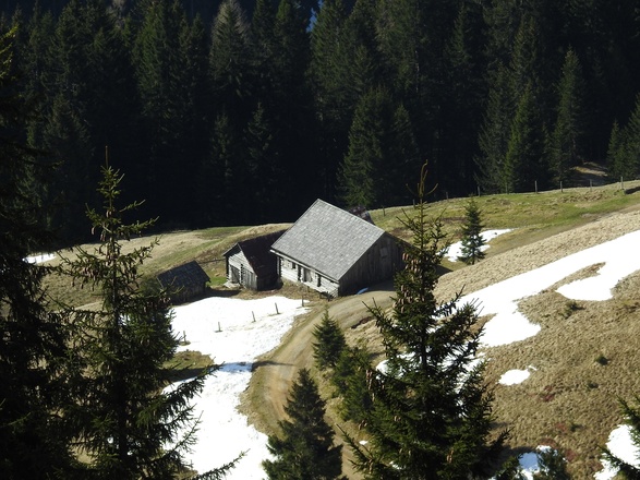 Arzbergalm