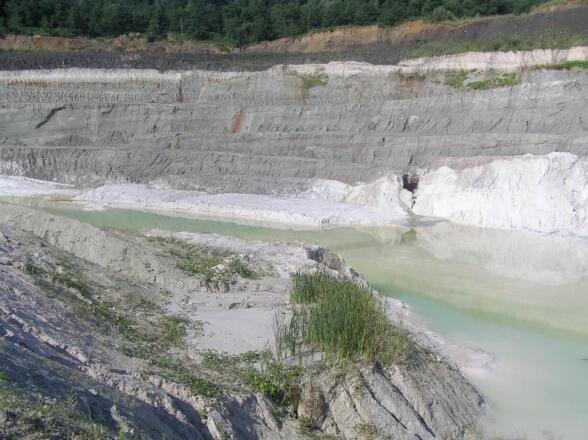 Abbauflächen können auch als Lebensraum dienen