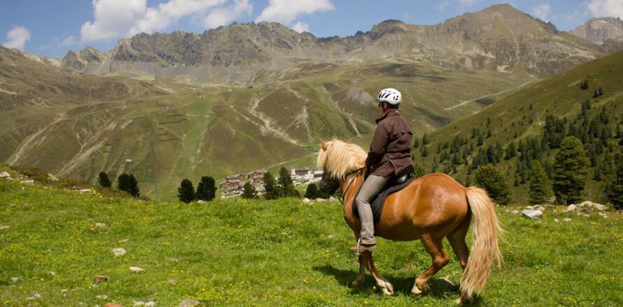 Reiten auf Islandpferden