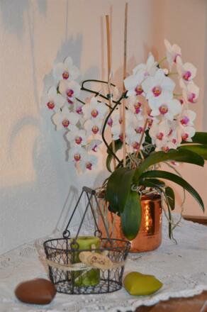 Mit viel Liebe zum Detail