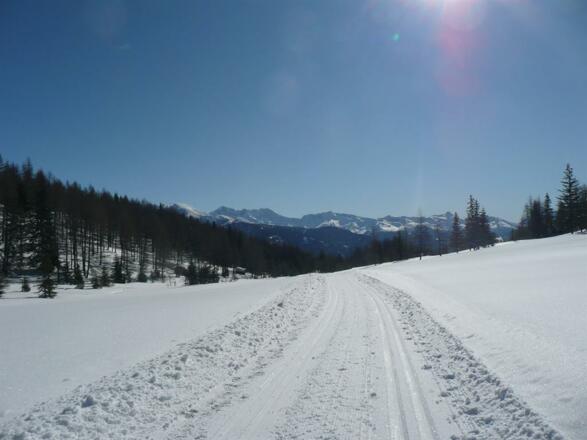 Langlaufloipe Stubaital