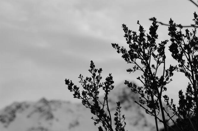 Stimmung Aussicht vom Haus