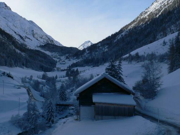 Haus__