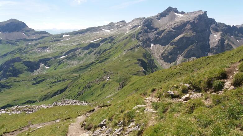 Hinter dem "Panoramaschild" zweigen wir nach links ab.