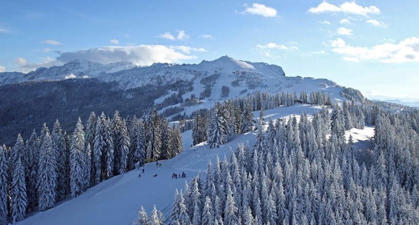 Skigebiert Steinplatte