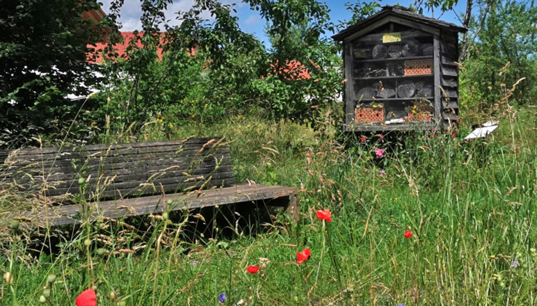 Ökopark Kiefersfelden - Station 5 Kieferer Energiewanderweg