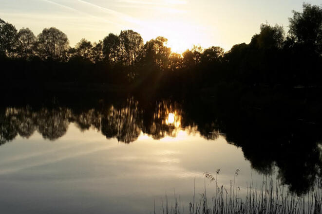 Abendstimmung am Erlensee