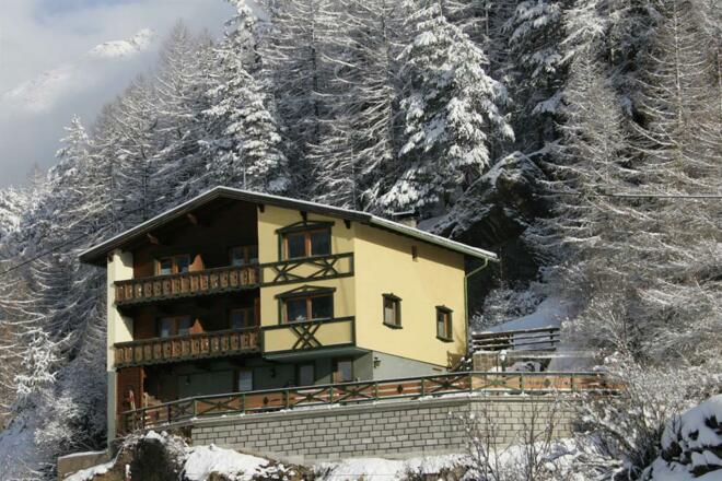 Schwalbennest im Winter